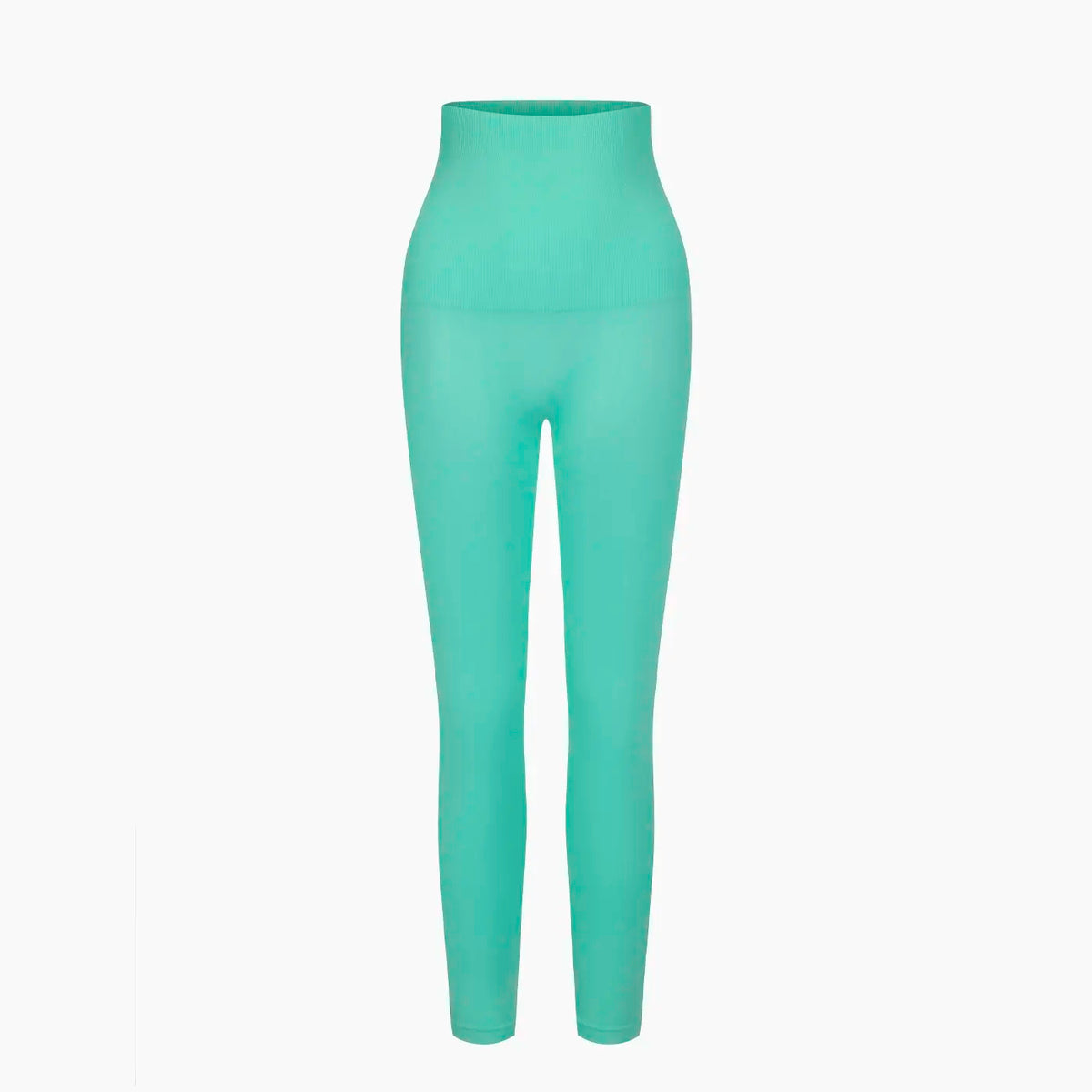 Seamless Shaping Leggings